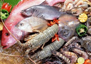 4 'thiên đường' hải sản bậc nhất phố biển Nha Trang