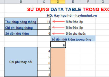 data table 1 biến theo cột