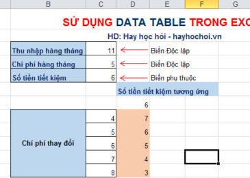 sử dụng data table 1 biên theo cột