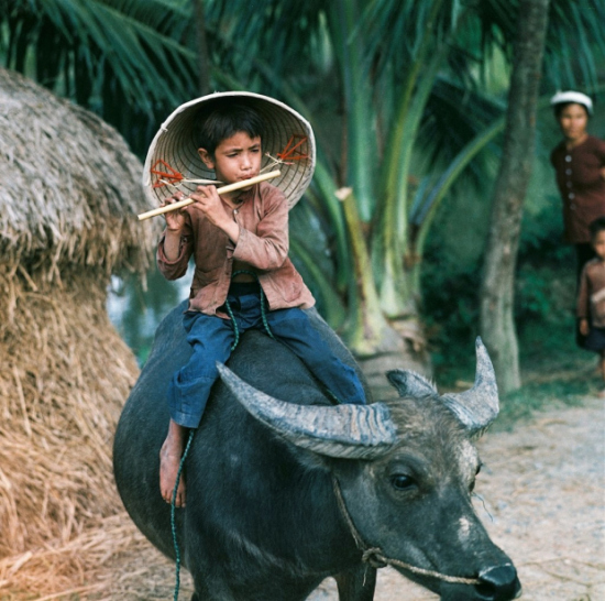 Miền Bắc Việt Nam 1969.