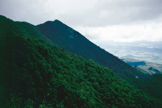 Tam Đảo, Vĩnh Phúc, 1985. Đây là một dãy núi đá ở vùng Đông Bắc Việt Nam nằm trên địa bàn ba tỉnh Vĩnh Phúc, Thái Nguyên và Tuyên Quang. Gọi là Tam Đảo, vì ở đây có ba ngọn núi cao nhô lên trên biển mây, đó là Thạch Bàn, Thiên Thị và Máng Chỉ. Ngọn cao nhất có độ cao tuyệt đối là 1.591m. Ảnh: Imre Villányi